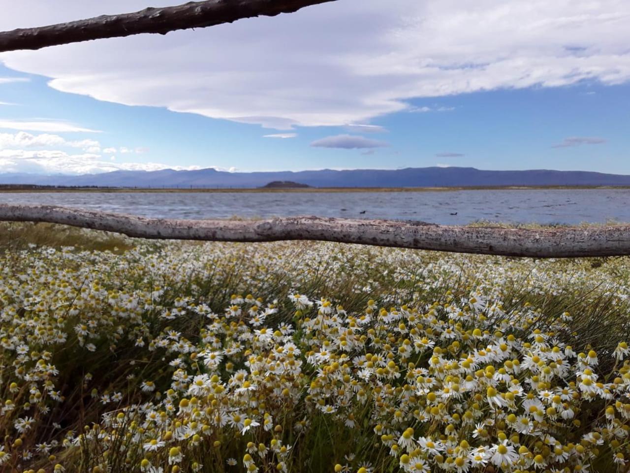 Hostel Aves del Lago El Calafate Exterior foto